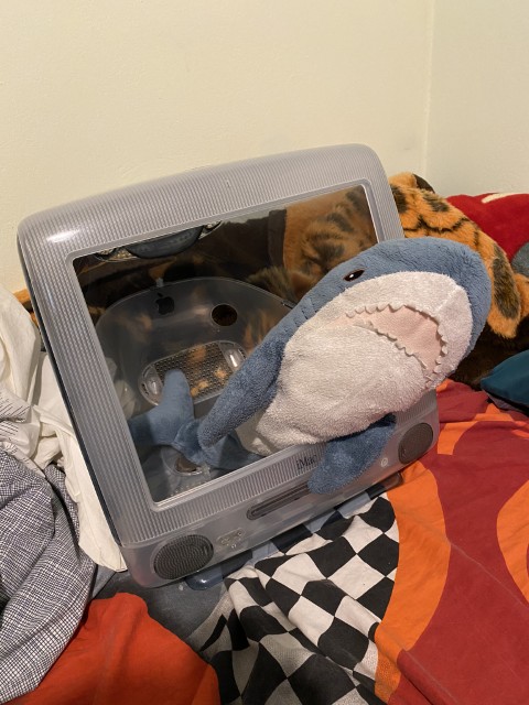 iMac G3 Graphite being used as a shark bed