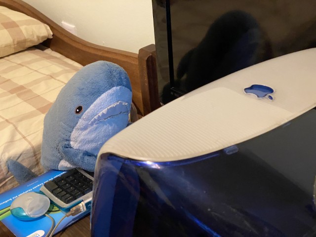 Blahaj using the iMac G3 Indigo
